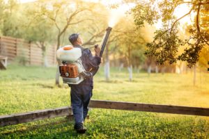 Controlling the pests on your own can be hectic. 