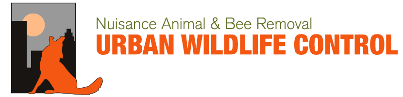 Nuisance Animal & Bee Removal Urban wildlife control